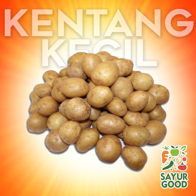 

Baby Potato Kentang Siomay / Kentang Rendang Baby Kentang 500 Gram