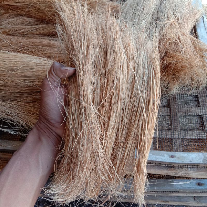 serabut kelapa/inis kelapa/serabut kelapa premium export
