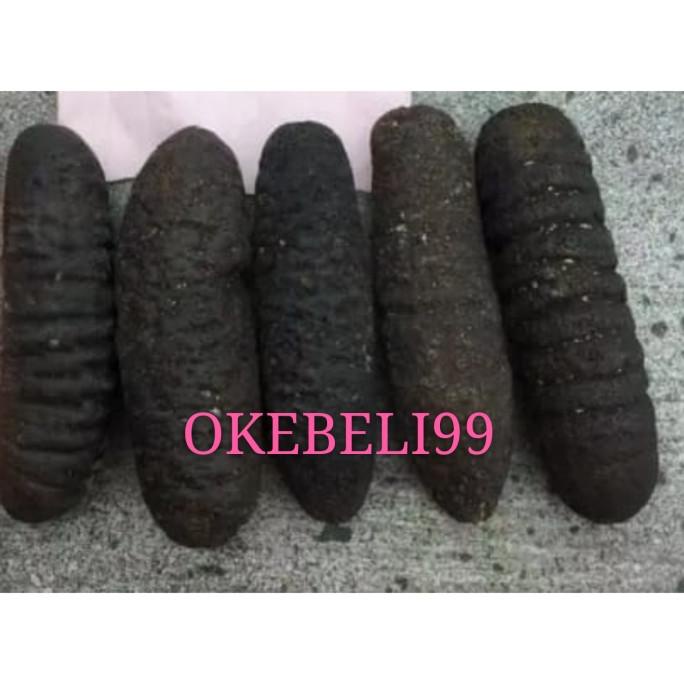

---Terbaru--- Teripang Gosok Hoisom / 1 KG
