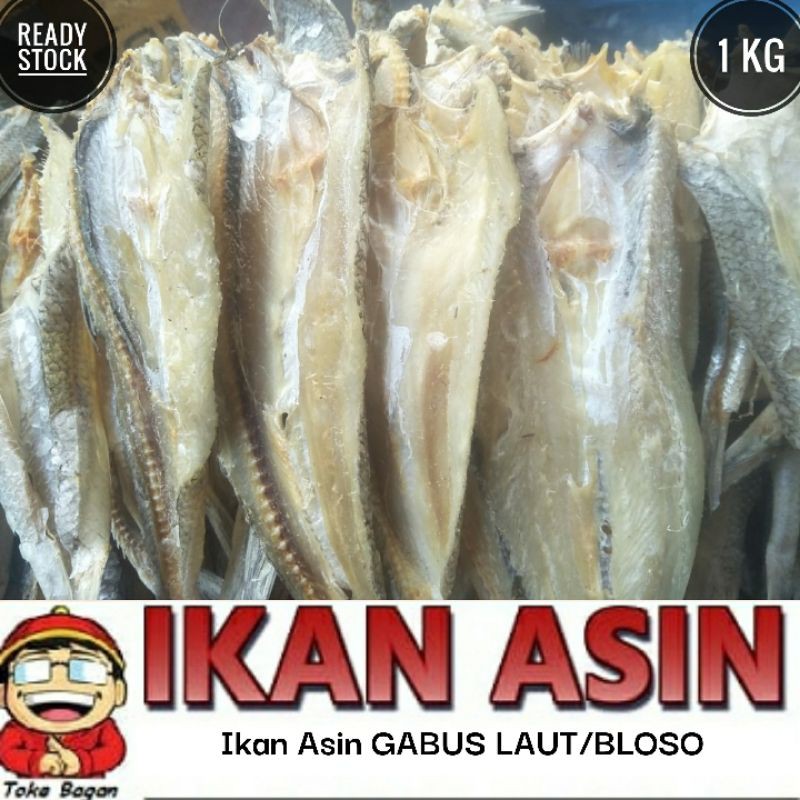 

Ikan Asin GABUS LAUT / BLOSO / JOLOD 1 kg cap TOKE BAGAN SIAPI API