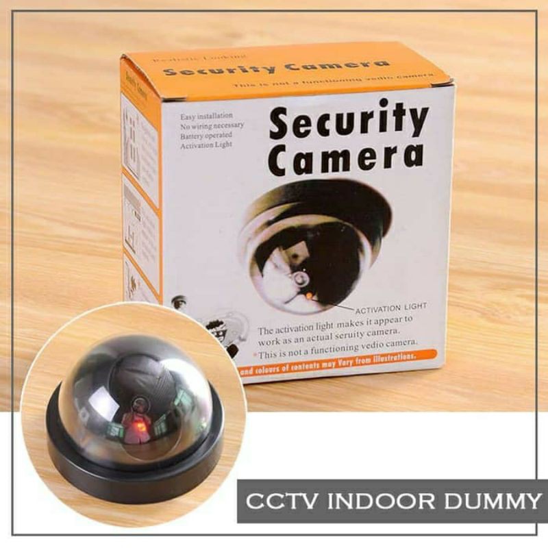 CCTV palsu