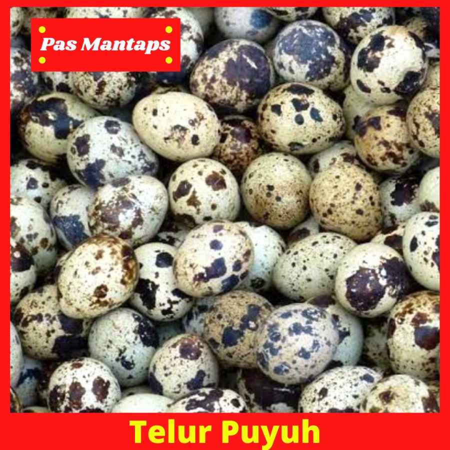 

Telur Puyuh Telor Puyu 250 gram