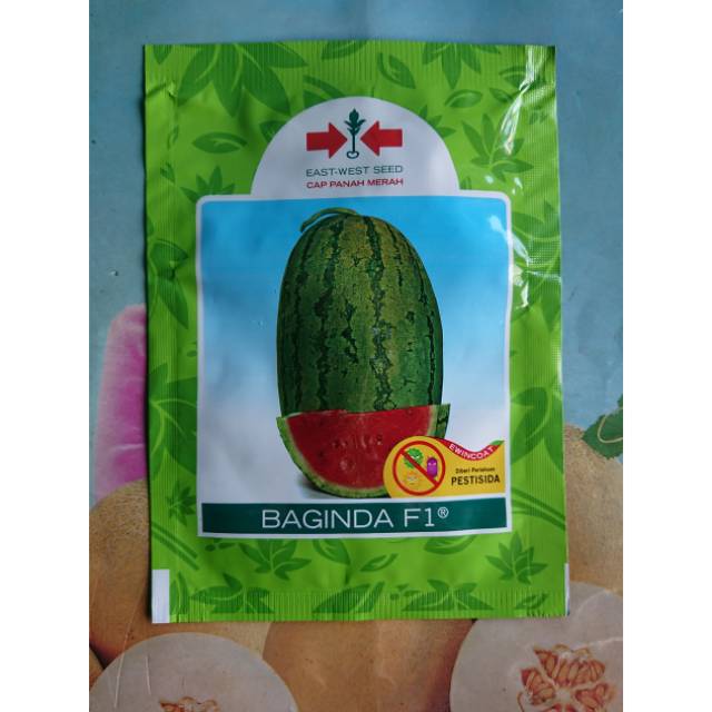 Benih Semangka Merah BAGINDA isi 380bj