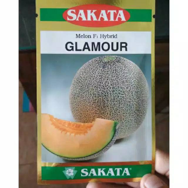 Melon Glamour tipe melon jepang 100butir