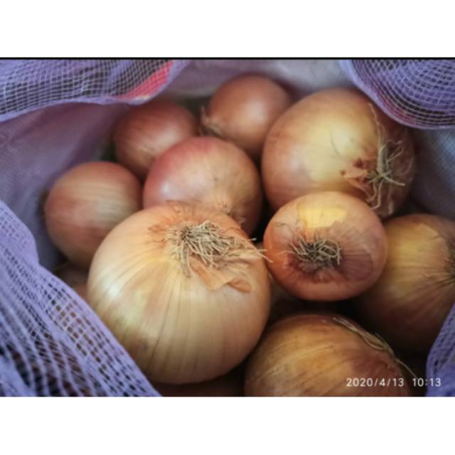 BAWANG BOMBAY 1kg