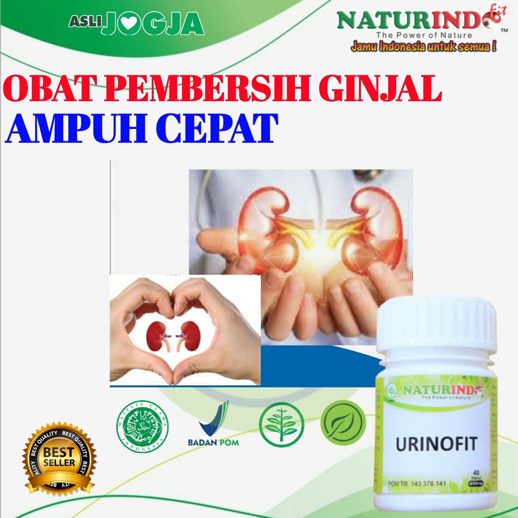 Obat Ginjal Obat Pembersih Ginjal Obat Batu Ginjal Obat Infeksi Saluran Kemih Obat Infeksi Saluran