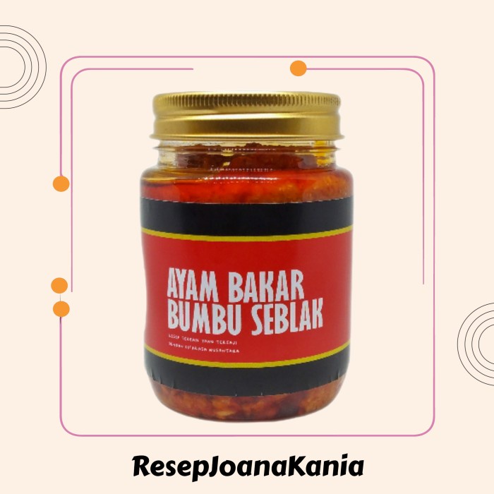 

Bumbu Ayam Bakar Seblak RSJ 200gr - BARU