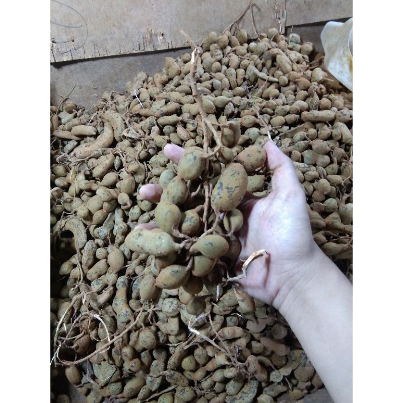 

asam jawa ( 1 Kg)