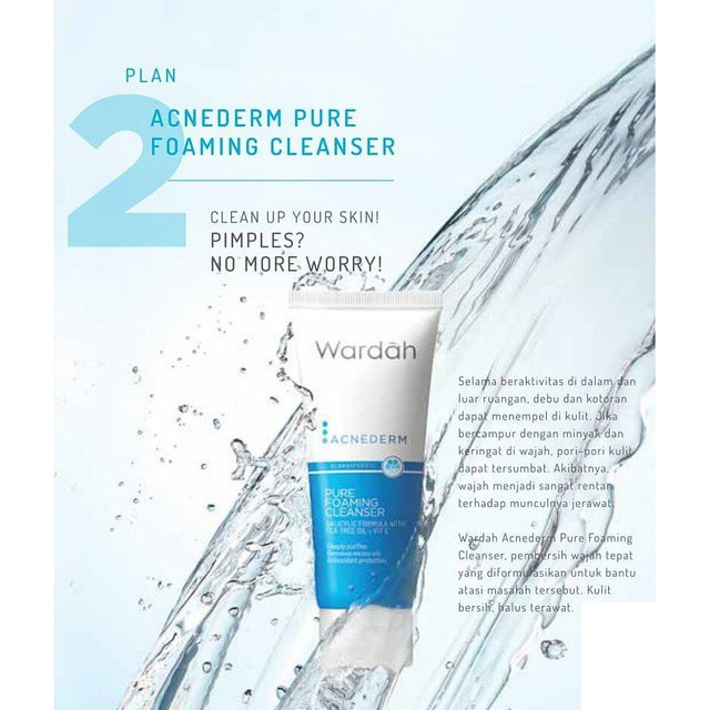 WARDAH ACNEDERM PURE FOAMING CLEANSER 60ML