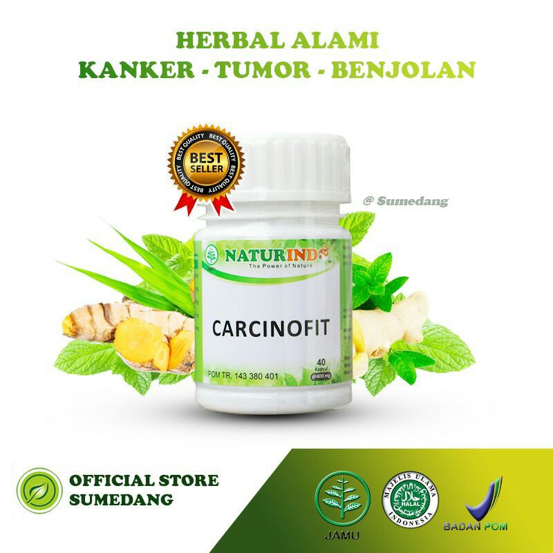 CARCINOFIT obat herbal Kanker dan tumor dengan gejala bengkak Benjolan dan nyeri serta luka basah-7