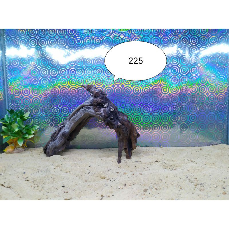 Akar Kayu Santigi karang laut / Sentigi Laut Aquatic / Aquascape