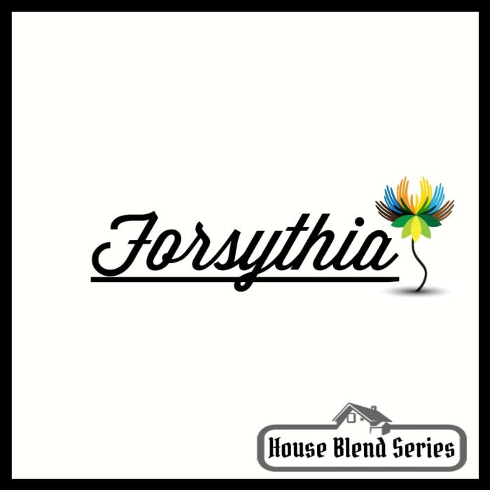 

Forsythia