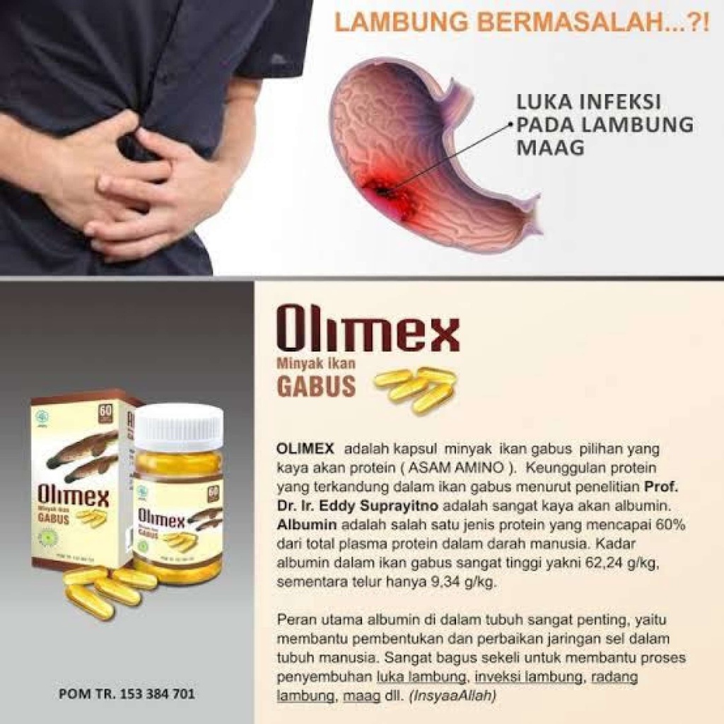 Obat Pasca Operasi Minyak Ikan Gabus Kapsul Olimex Ekstrak Sari Kutuk Albumin Penyembuhan Luka Dan Dalam