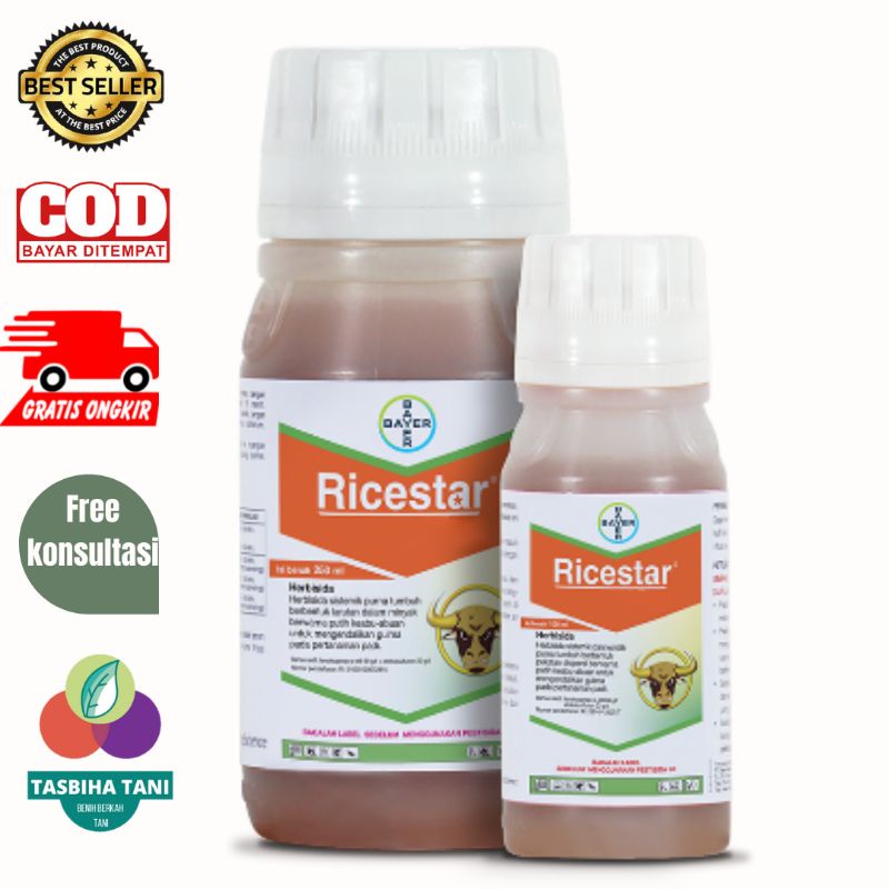 RICESTAR 250 ML. HERBISIDA PADI CAP BANTENG OBAT RUMPUT PADI | OBAT SUKET PARI