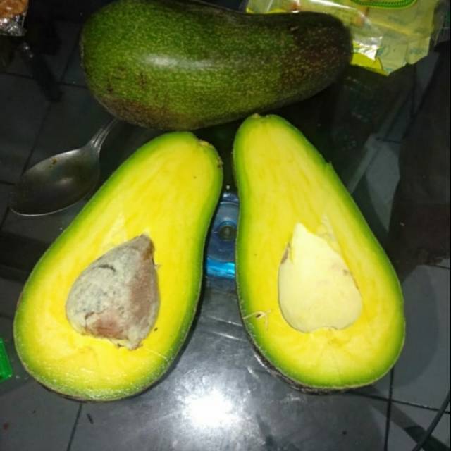 

Alpukat mentega