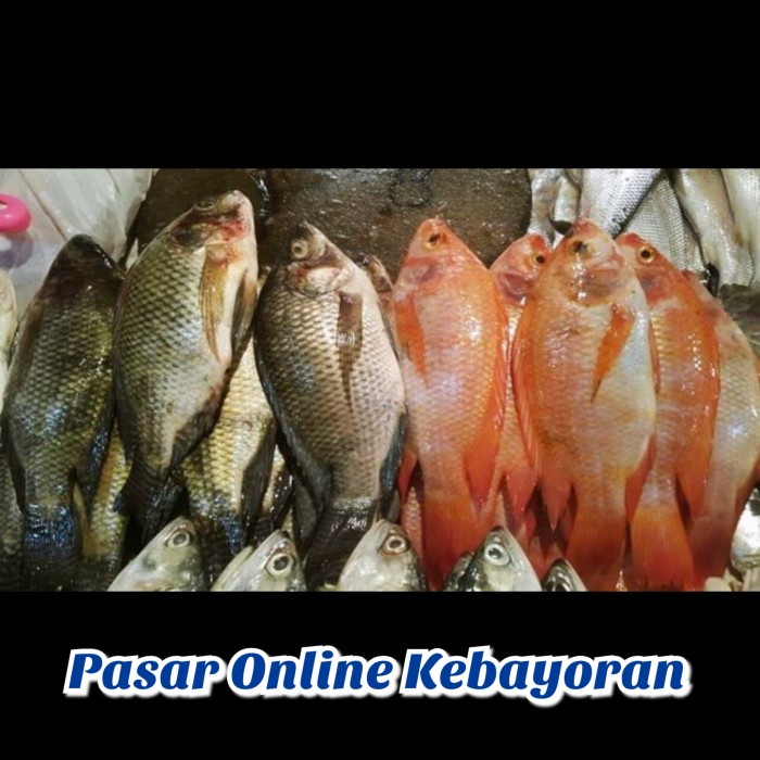 

Ikan Nila Segar -