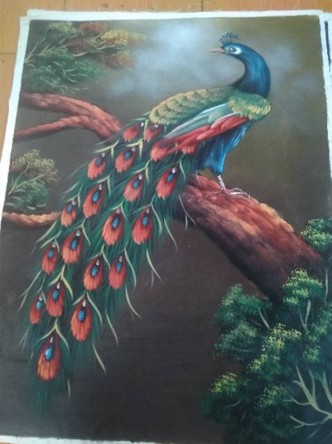 760 Koleksi Gambar Burung Merak Dari Pensil Gratis