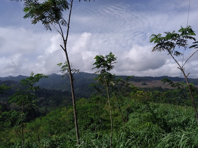 Batik Couple Keluarga Sania Ruffle Ori Ndoro Jowi Dnt Motif Mahkota Kuning