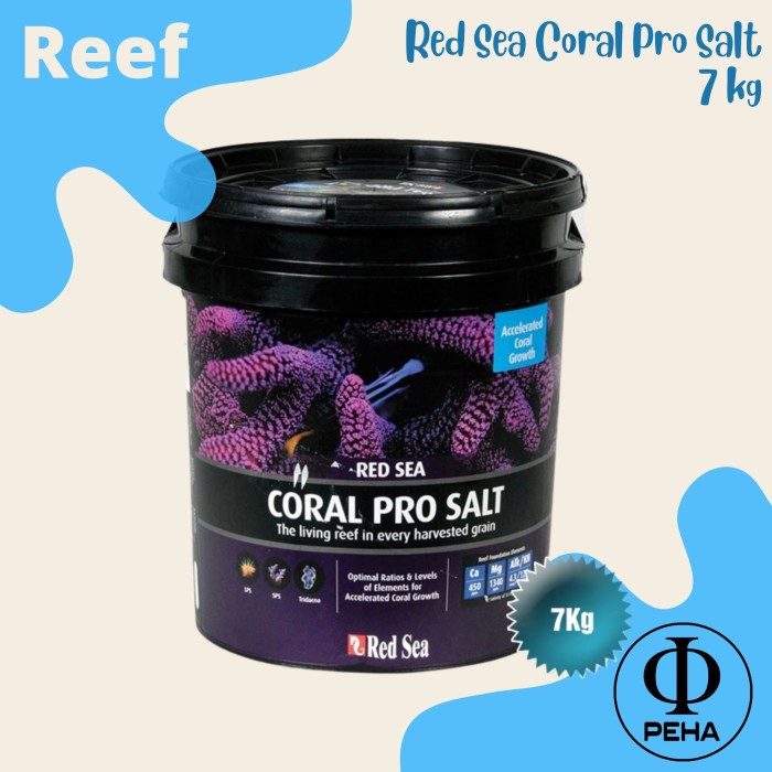 Jual Red Sea Coral Pro Salt 7kg ASW Red Sea Bucket 7 kg Garam SPS LPS