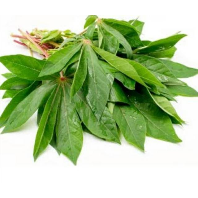 

Sayur Daun Singkong