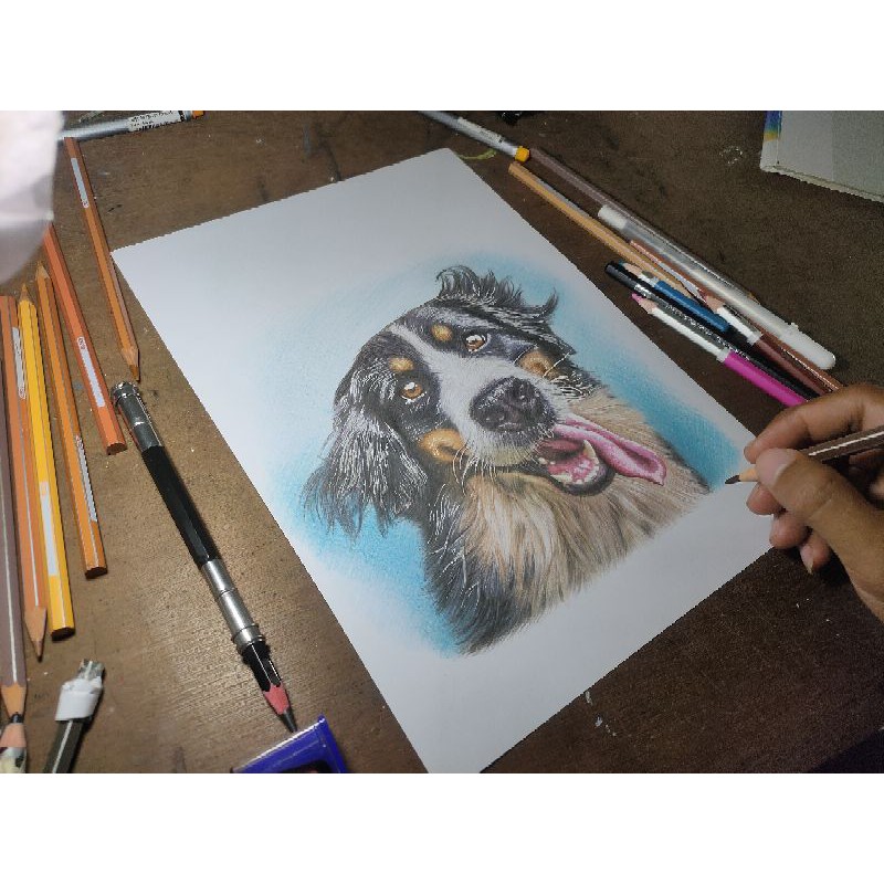 620 Sketsa Gambar Hewan Air Gratis Terbaru