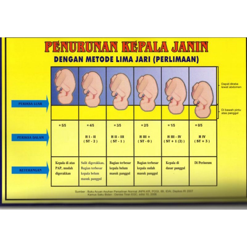 Poster Bidan Lengkap Bnyak Pilihannya Full Laminating Pastinya Bunda