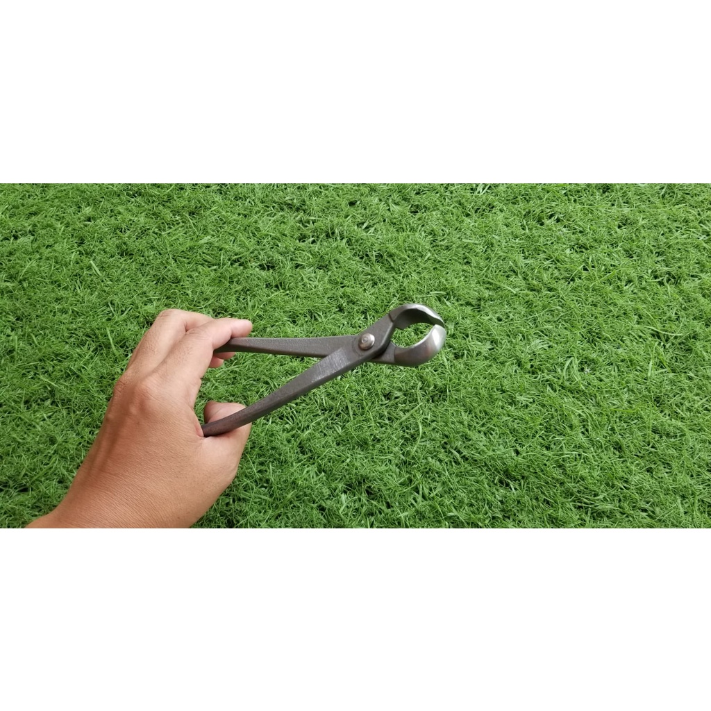 Krekut atau catok untuk bonsai