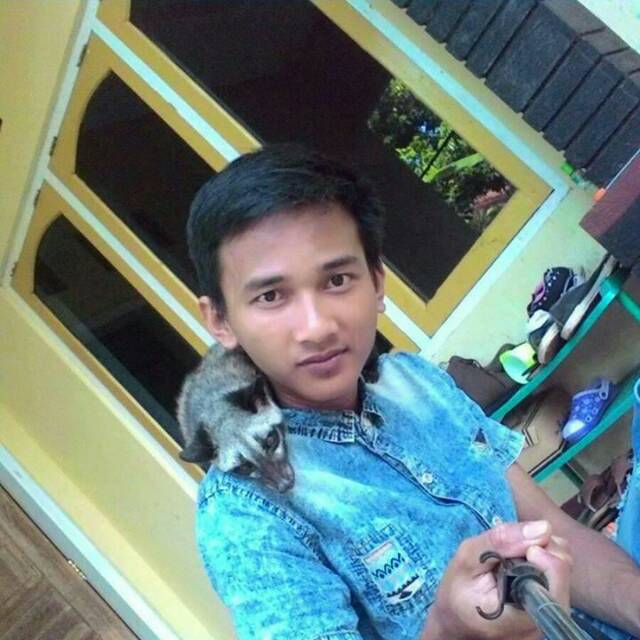befybefout