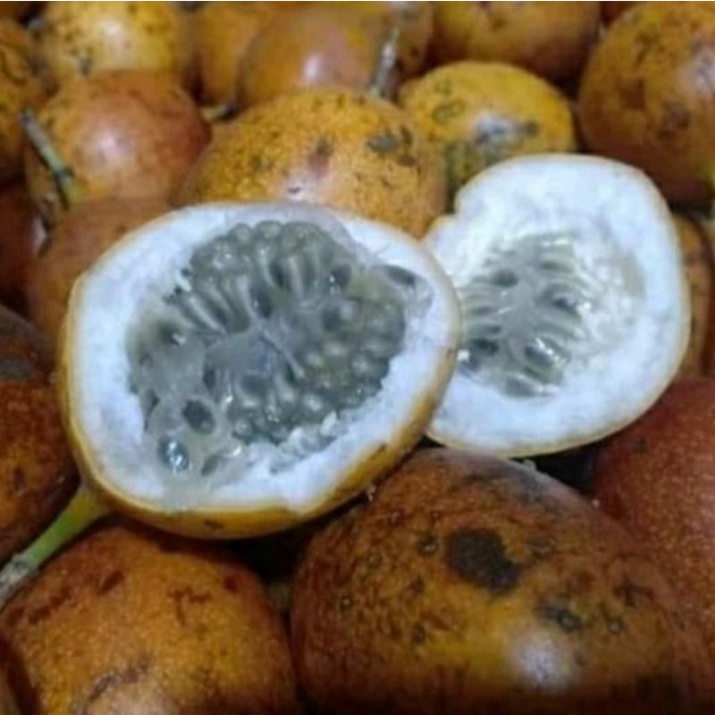 

Buah markisa fresh 1 kg