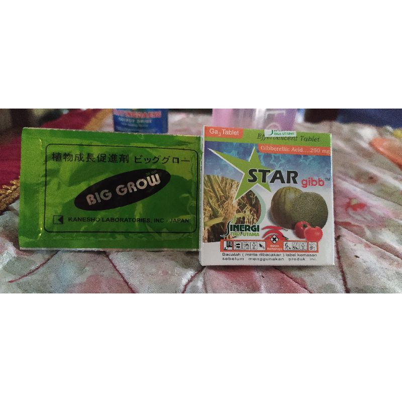 paket biggrow big grow bigrow plus Star gibb ga3 tablet legend top
