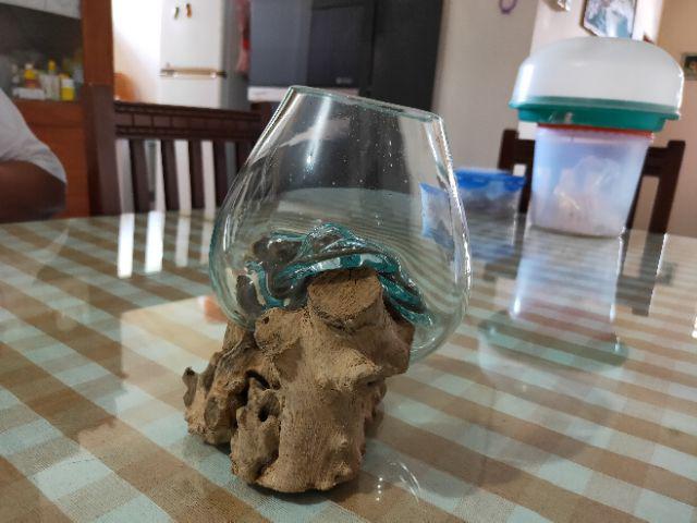 Glass On Wood Vase S - Kaca D12cm / Pot Kaktus / Pot Kecil / Aquarium / Kaca Tiup