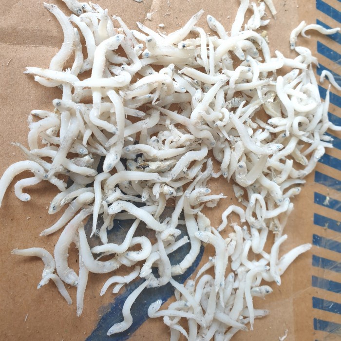 

Ikan Teri Medan kualitas super