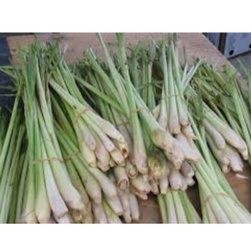 

Daun Sereh