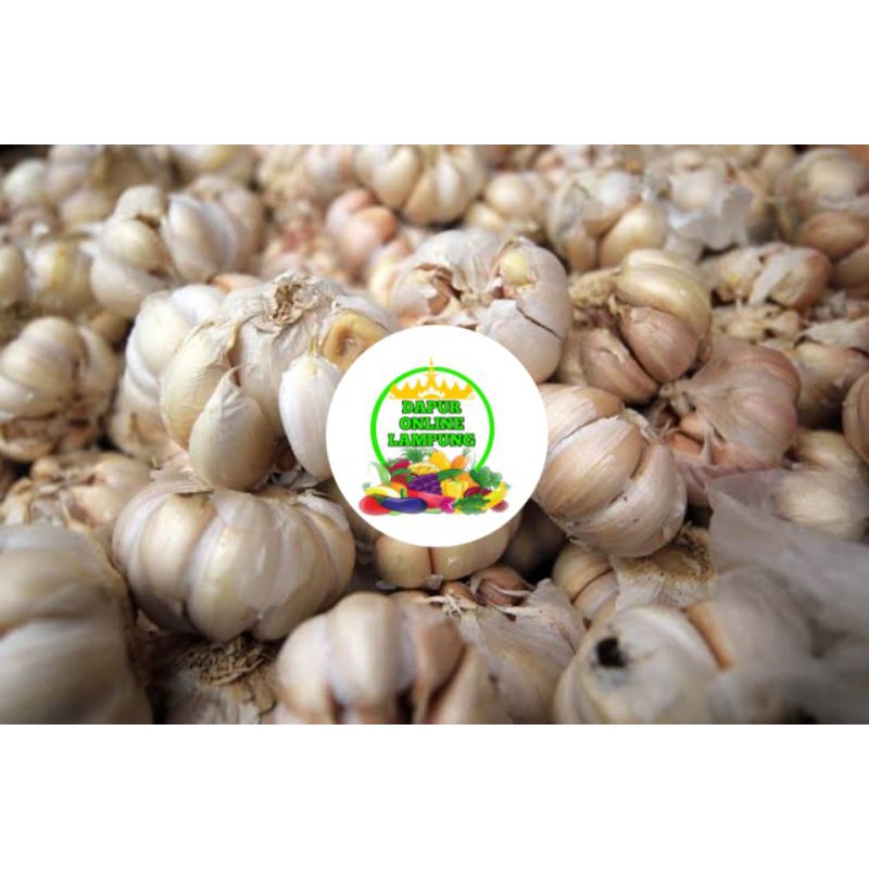 

BAWANG PUTIH KATING 1 KG SAYURAN SEGAR EMPON EMPON BUMBU DAPUR Bandar Lampung