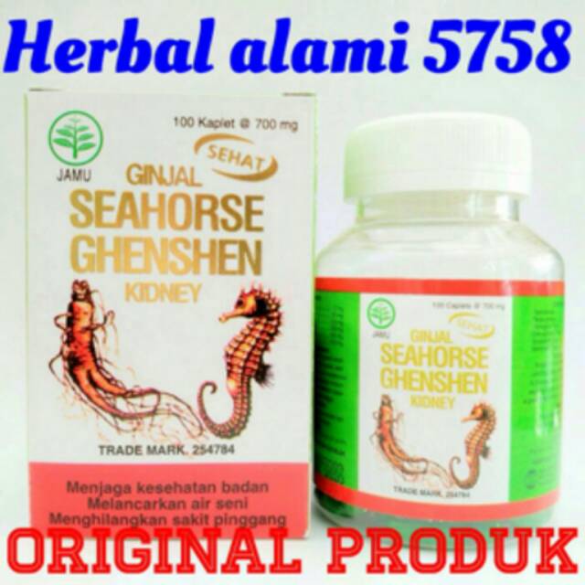Obat herbal sehat ginjal,seahorse ginseng