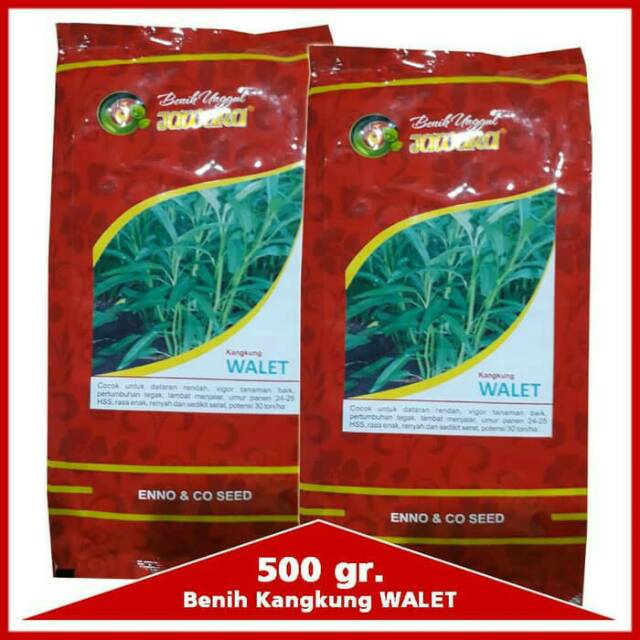 Benih Kangkung WALET Jawara 500 Gram / Bibit Kangkung
