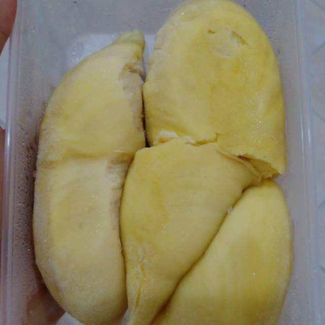 

Durian montong