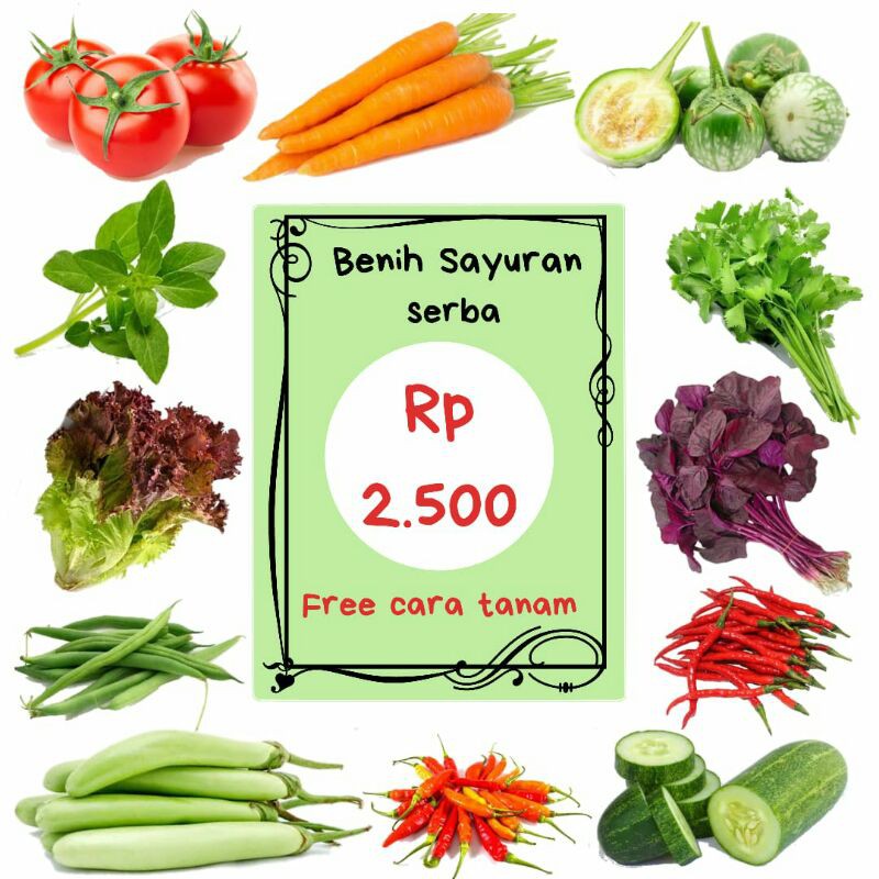 Benih / Biji Bibit Sayur Sayuran Lengkap Murah Hidroponik ...