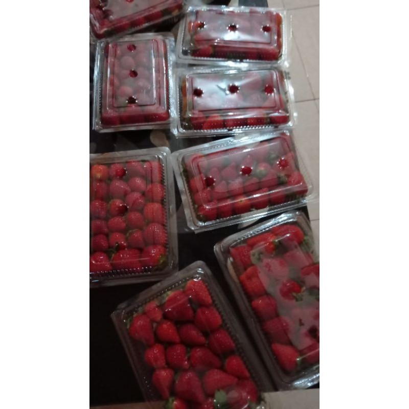 Jual Strawberry | Shopee Indonesia