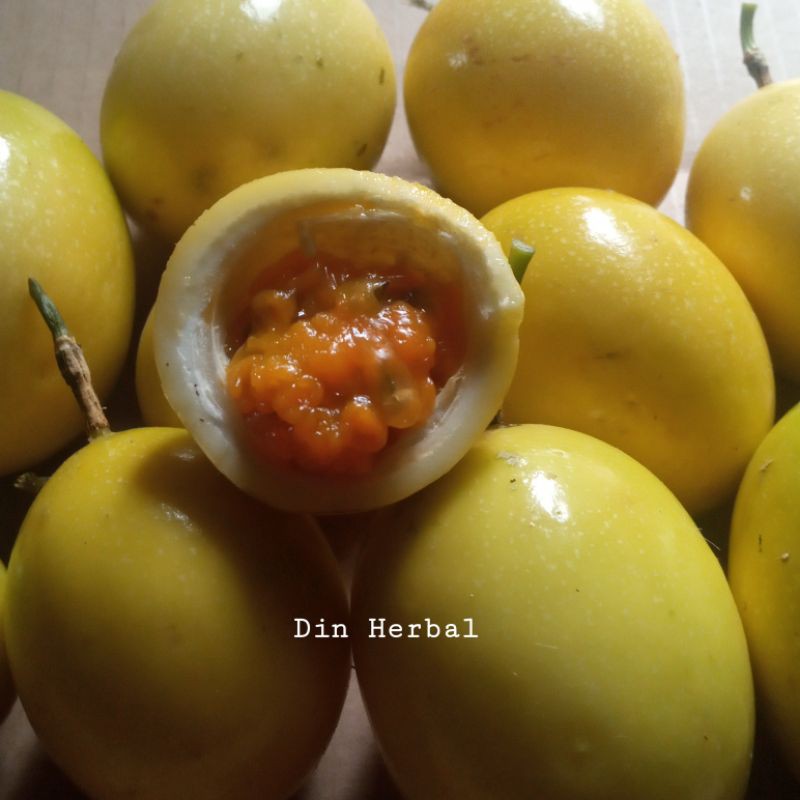 

Buah markisa segar 500 gram