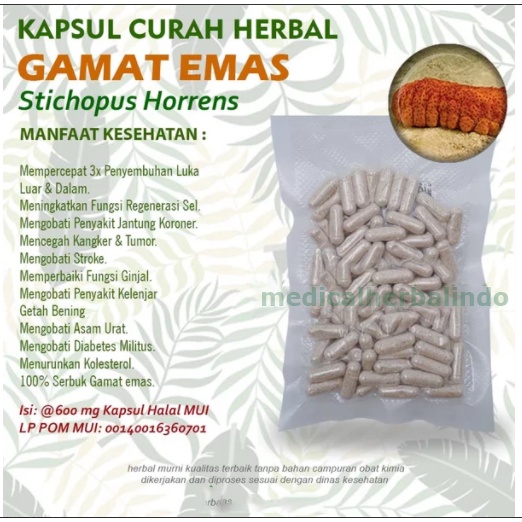 Kapsul Curah GAMAT EMAS Anti Aging Kesuburuan Pria Kanker 100 capsul