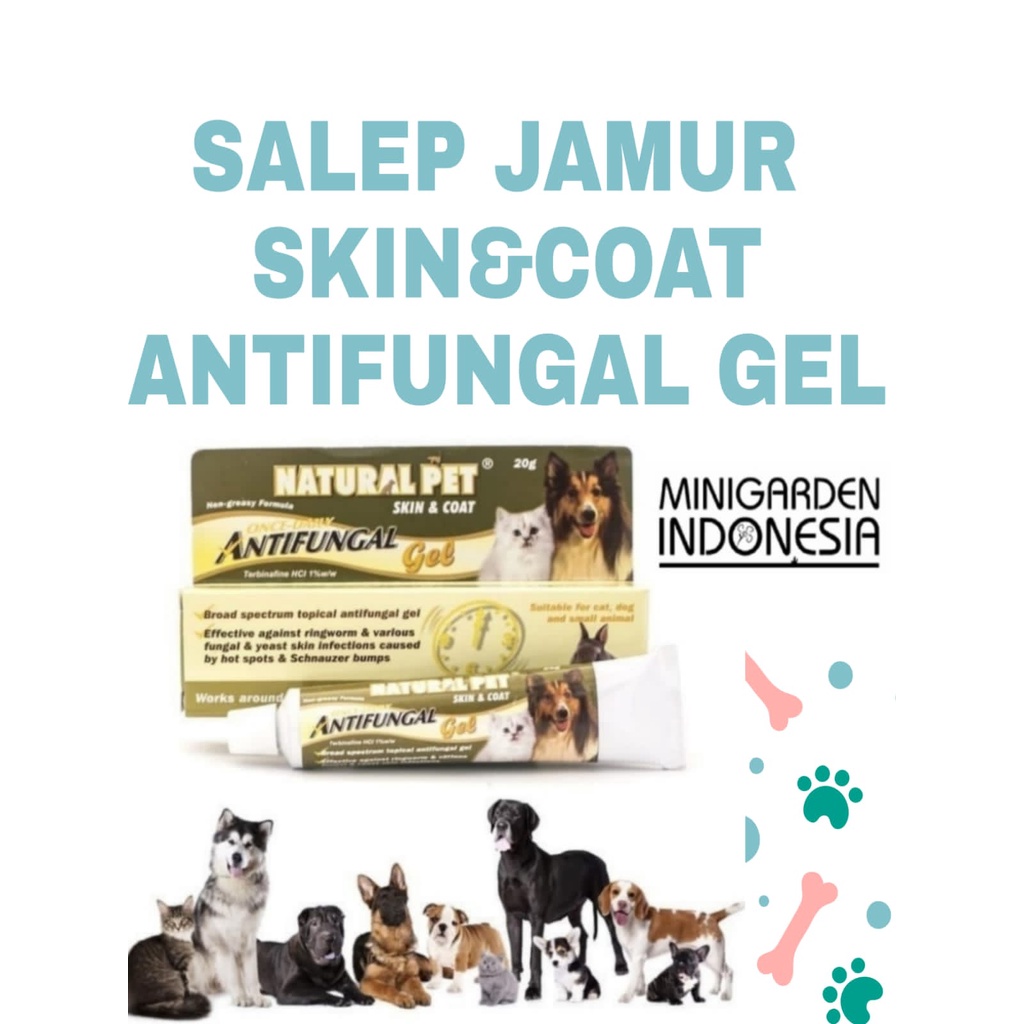 ANTIFUNGAL GEL NATURAL PET SKIN &amp; COAT salep anti jamur anjing kucing obat jamur