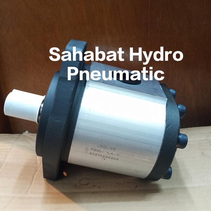 Hydraulic Gear Pump Pg30-39 Jaguar