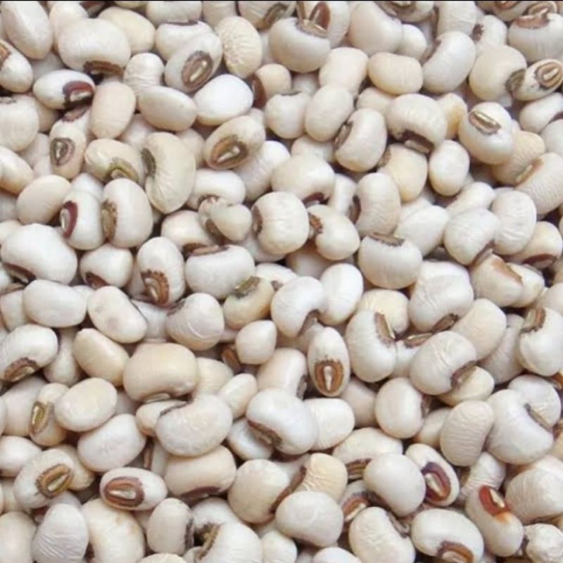 kacang Sayur /Kacang Tolo / Kacang Putih /Kacang Tunggak (1.000 gram)