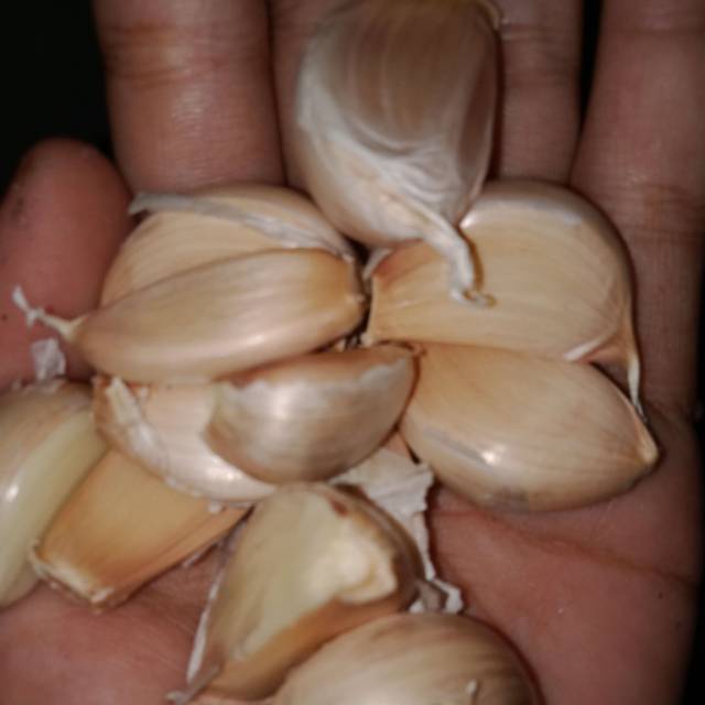 

Bawang putih banci rintokan kecil sedang 500 gram 27.500