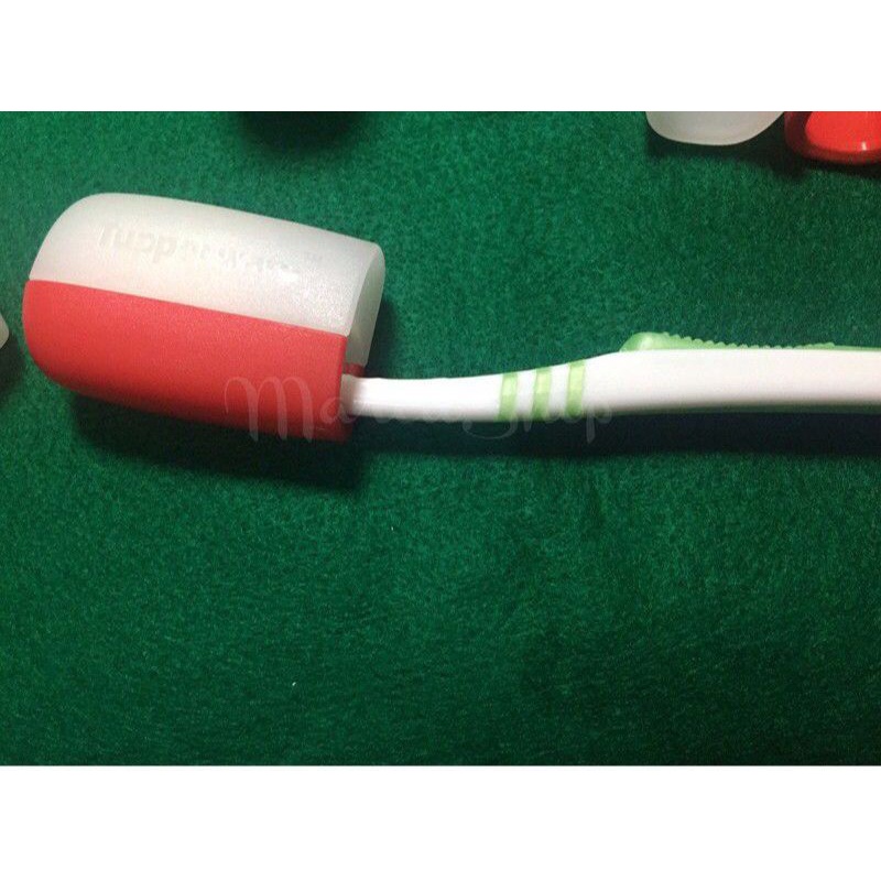 Tootbrush cover ori tupp tempat sikat gigi traveling