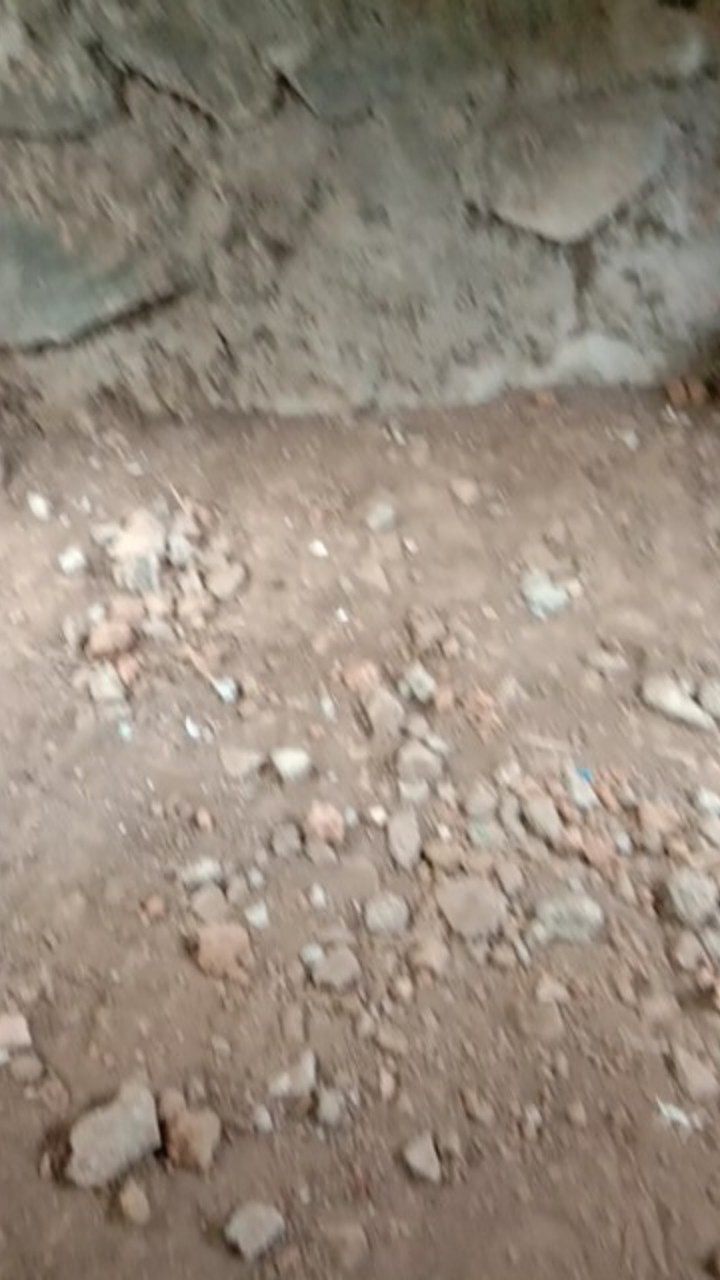 Kemeja Batik Anak - Batik Anak - Baju Batik Anak Laki Laki Umur 2-10tahun Hem Batik Anak Pendek