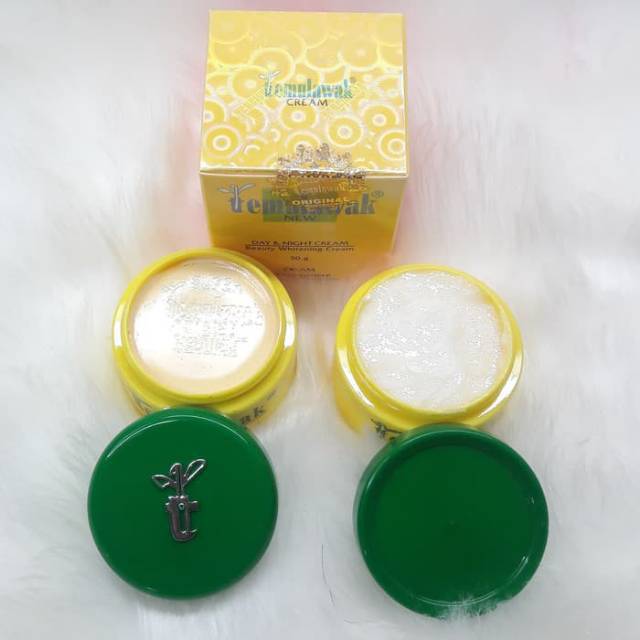 CREAM WAJAH TEMULAWAK DAY &amp; NIGHT BLING² Original