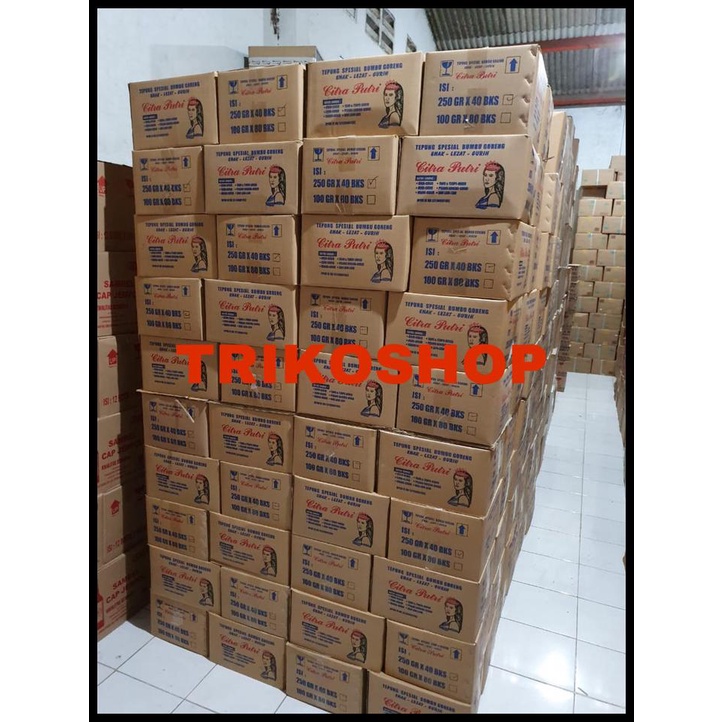 

Tepung Bumbu Serbaguna Citra Putri 250Gr Dus An Isi 40 Pcs
