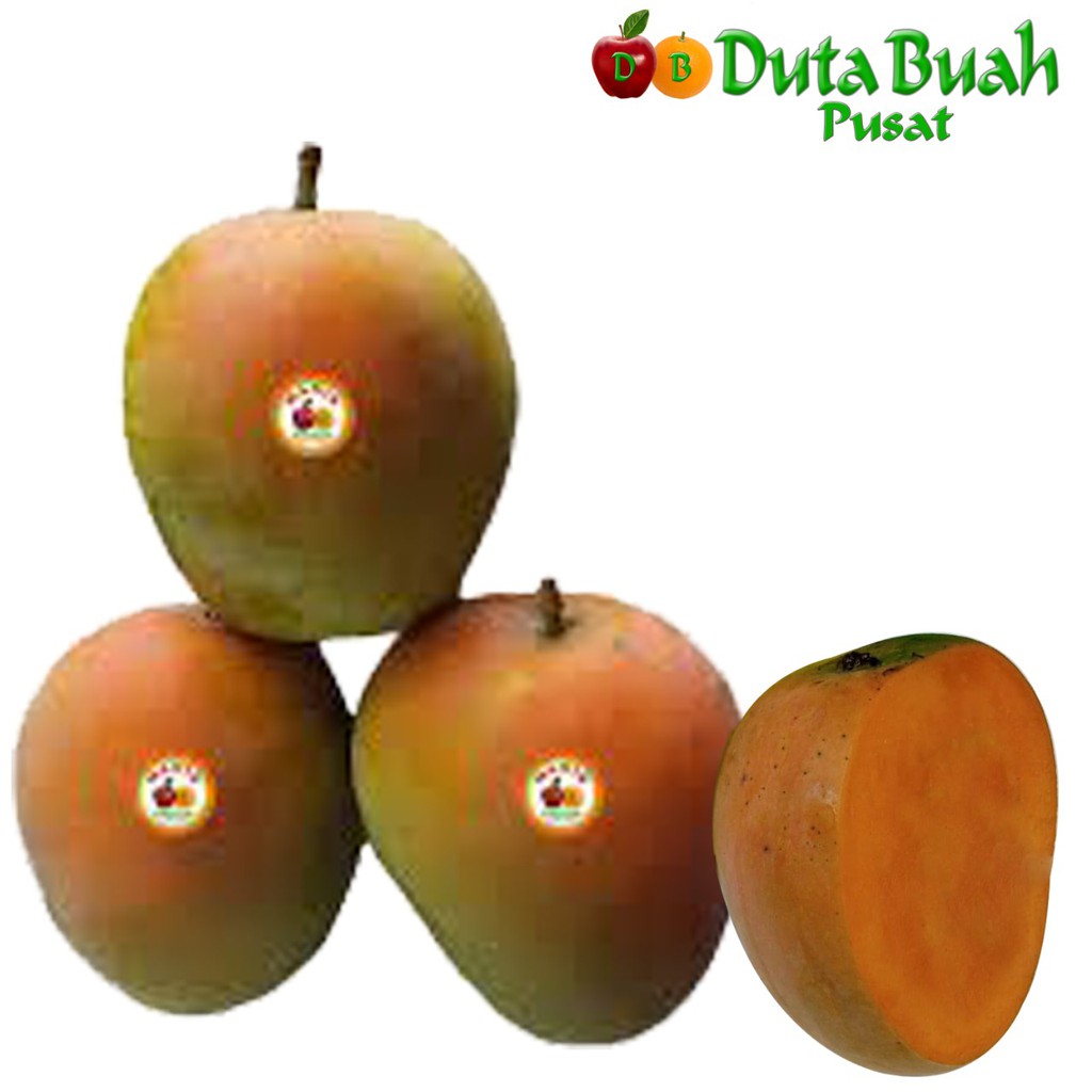 

DUTA BUAH Mangga Gedong Gincu Premium (0.9-1kg/3-5pcs)